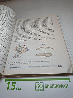 Основы безопасности жизнедеятельности, 6 класс