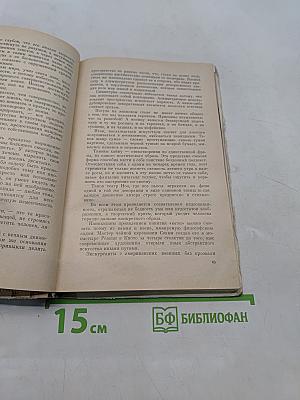 Ветка сакуры