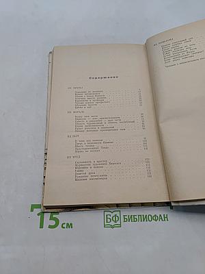 Ветка сакуры