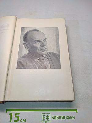 Собрание сочинений. Том первый. Романы и повести