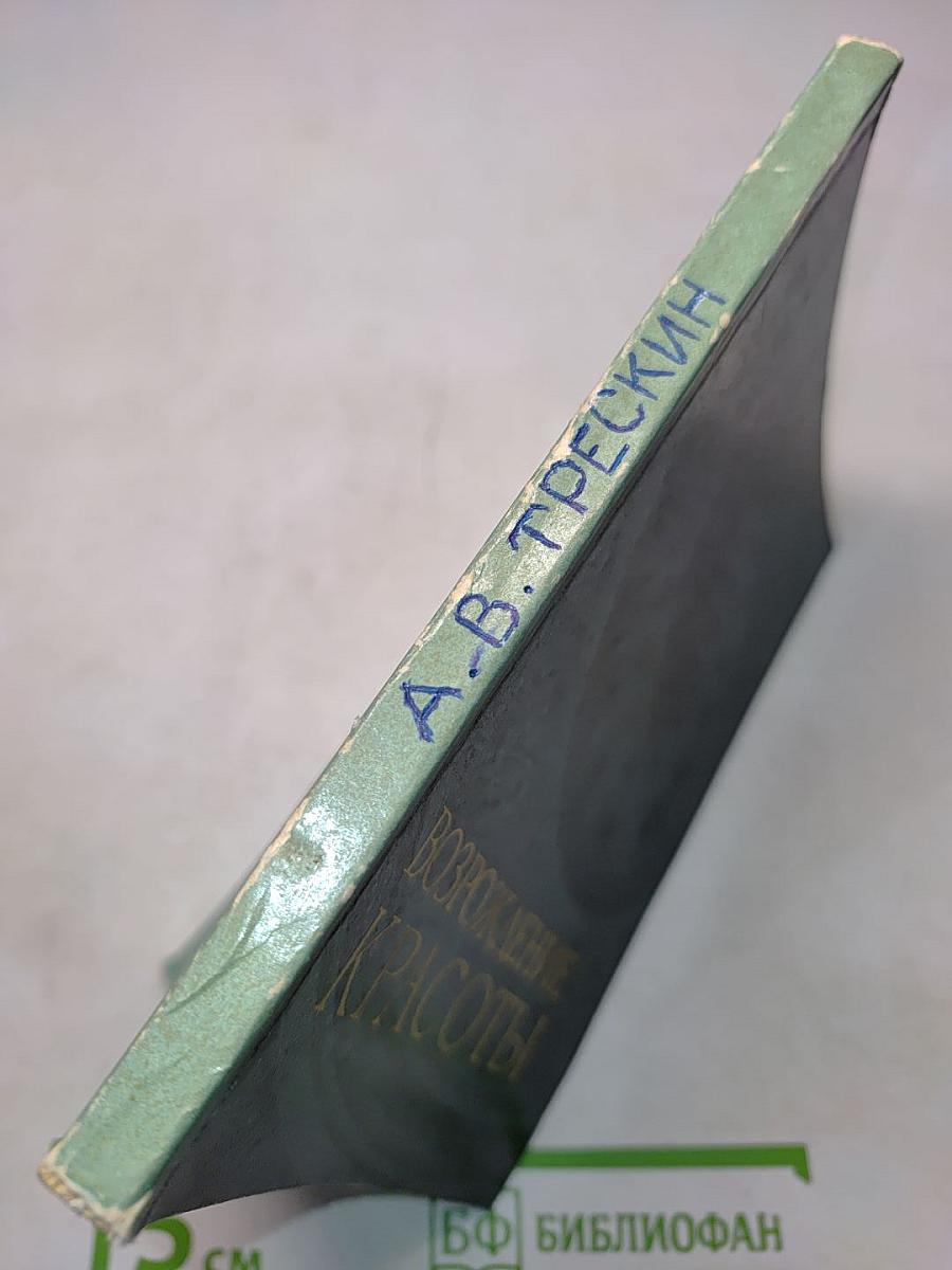 Возрождение красоты