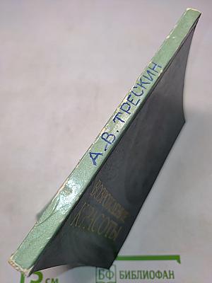 Возрождение красоты