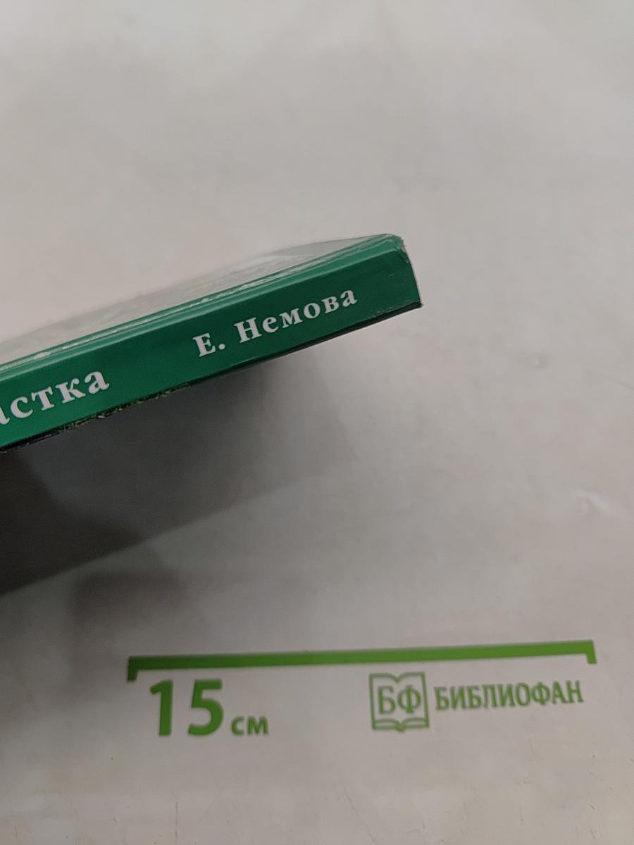 Дизайн садового участка