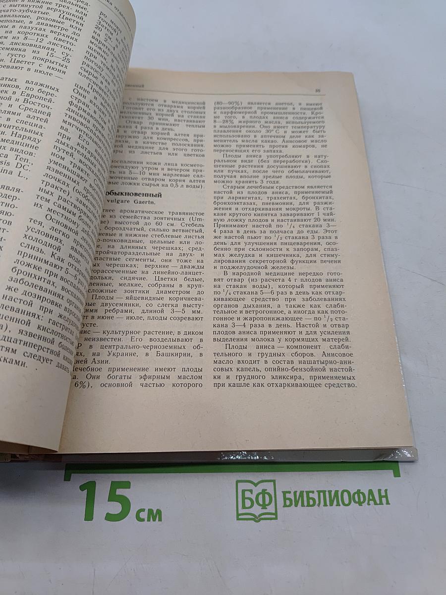 Лекарственные растения в быту