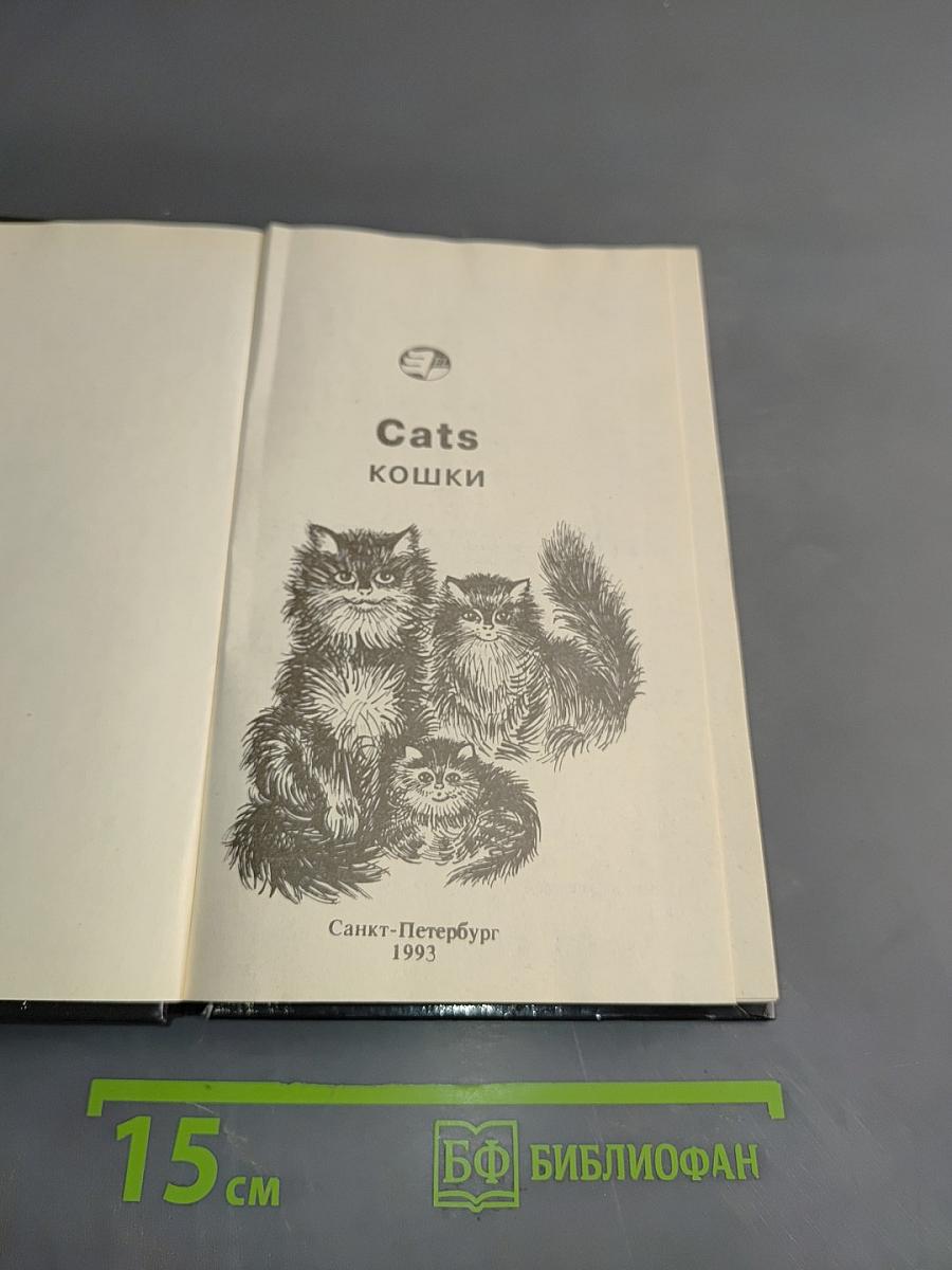 Cats. Кошки