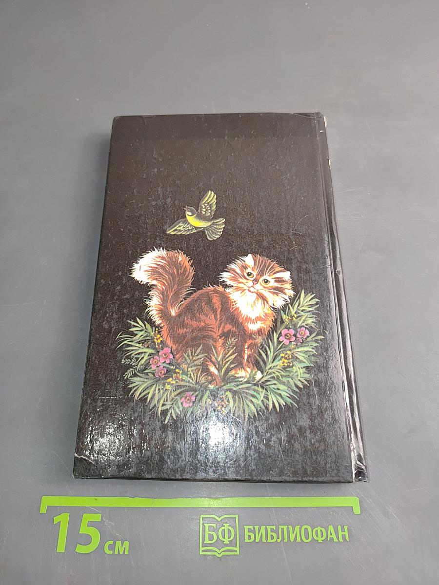 Cats. Кошки