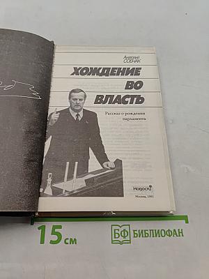Хождение во власть