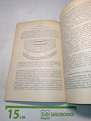 Физиология дыхания. Основы