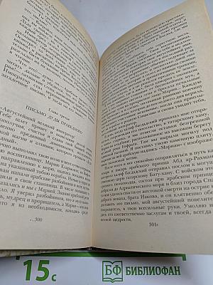 К последнему морю. Юность полководца