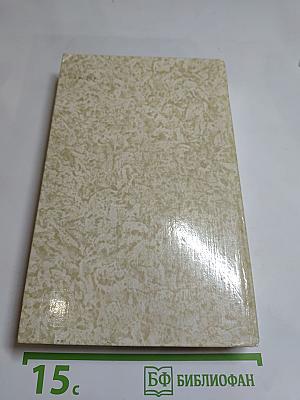 К последнему морю. Юность полководца