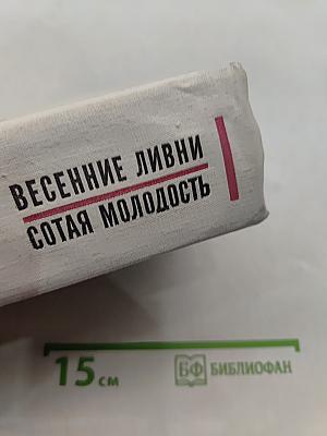 Весенние ливни. Сотая молодость