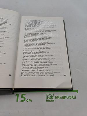 Избранное. Том второй. Стихотворения, поэмы, переводы, литературные заметки