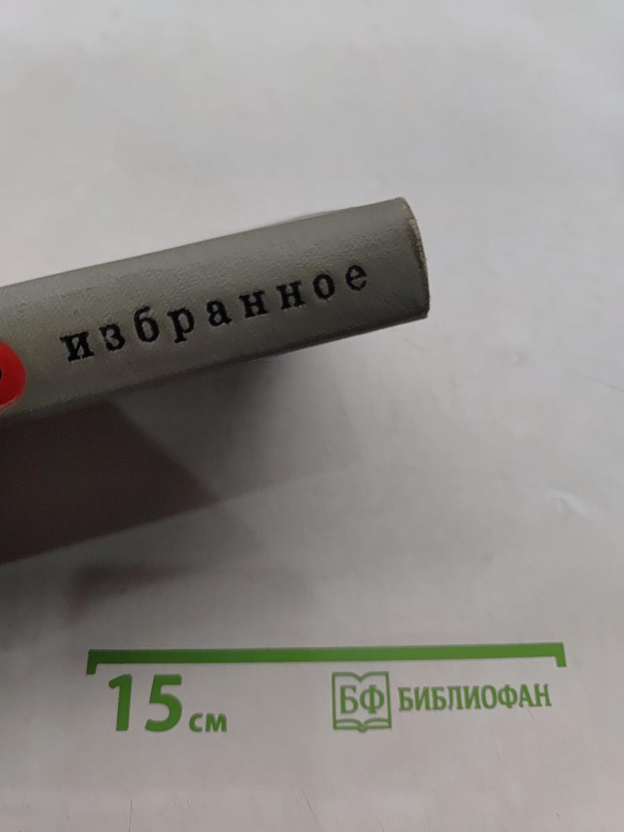 Избранное. Том второй. Стихотворения, поэмы, переводы, литературные заметки