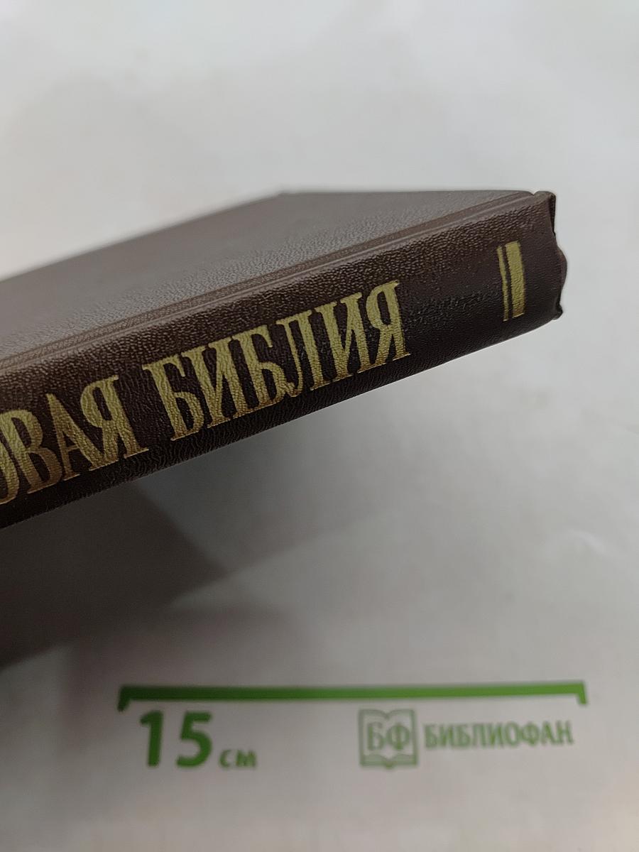 Новая толковая Библия. Том 1