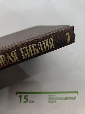 Новая толковая Библия. Том 1