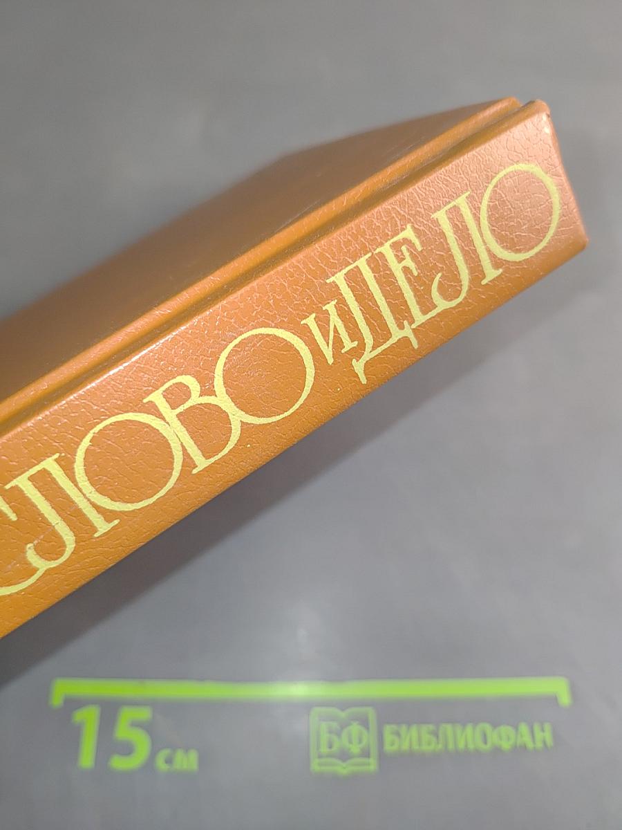 Слово и дело. Роман-хроника времён Анны Иоанновны. Книга 1. Царица престрашного зраку