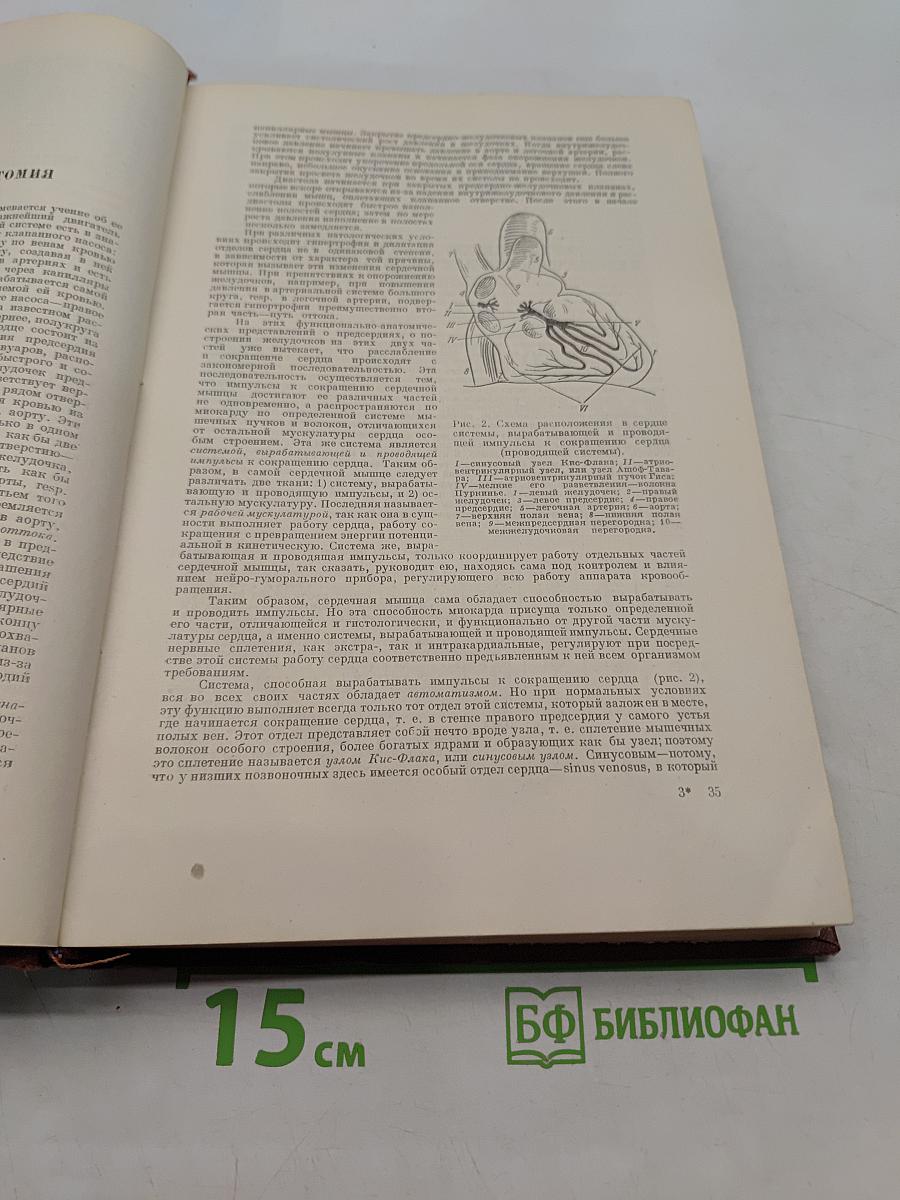 Руководство по внутренним болезням. Болезни системы кровообращения