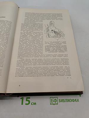 Руководство по внутренним болезням. Болезни системы кровообращения