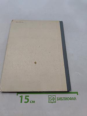 Сын коменданта
