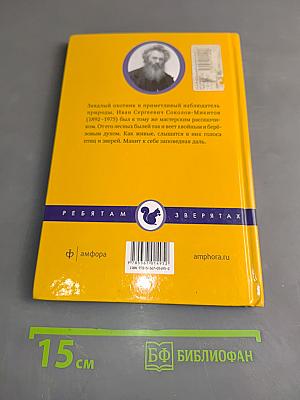Лесные рассказы