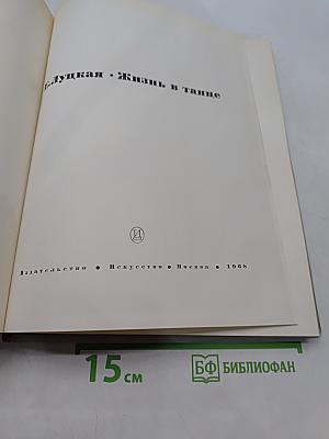Блуцкая. Жизнь в танце