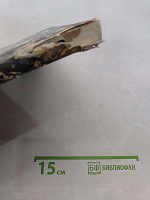 Блуцкая. Жизнь в танце