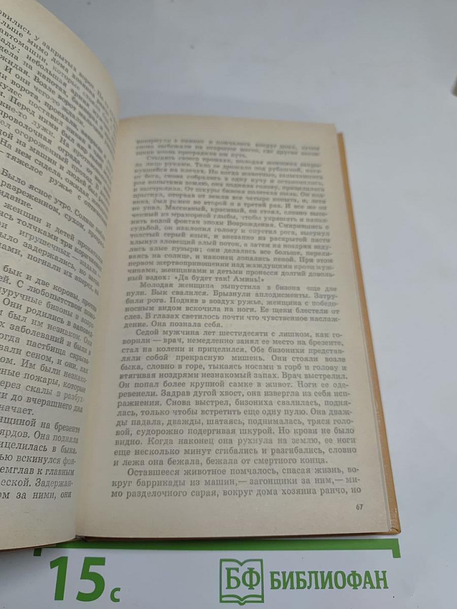 Благослови зверей и детей. Участница свадьбы