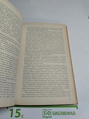 Благослови зверей и детей. Участница свадьбы