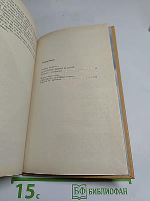 Благослови зверей и детей. Участница свадьбы