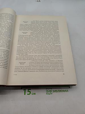 История искусства зарубежных стран. Том 2