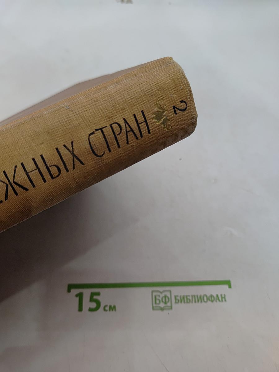 История искусства зарубежных стран. Том 2