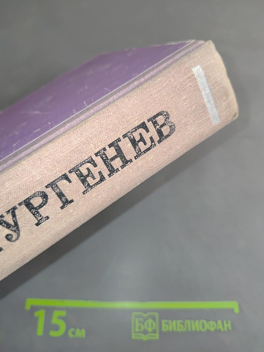 Рудин. Дворянское гнездо. Накануне. Отцы и дети