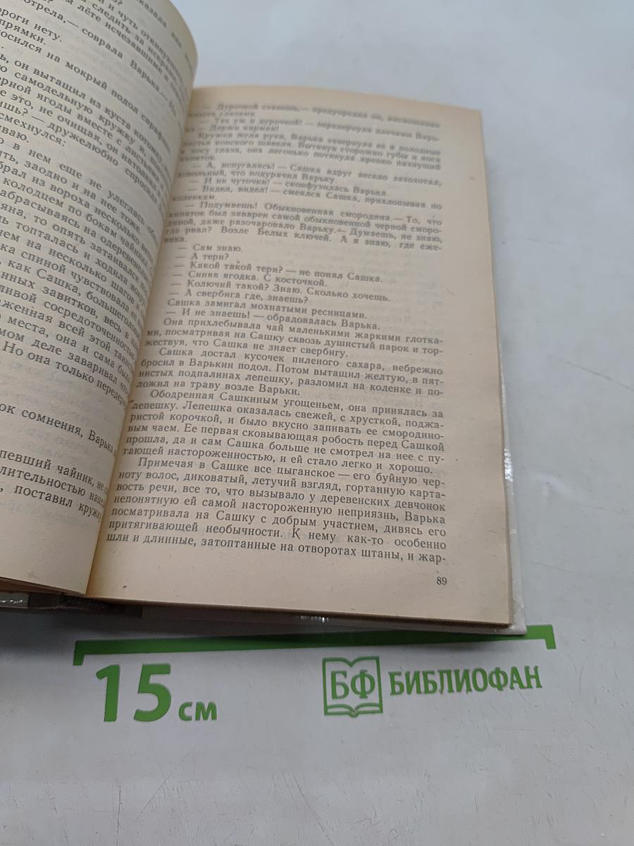 Увятские шлемоносцы
