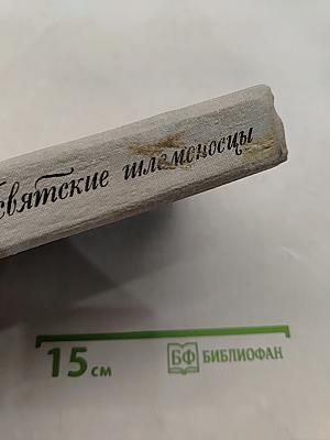 Увятские шлемоносцы
