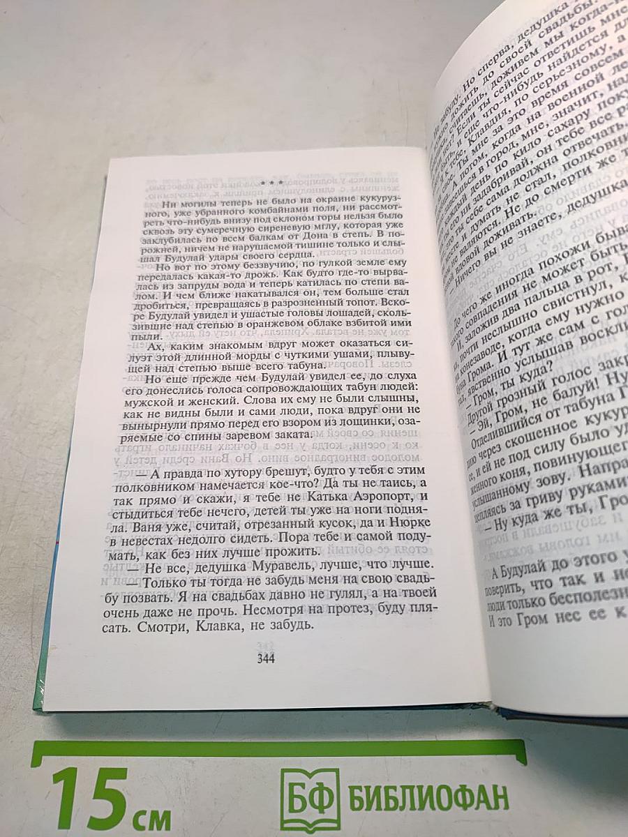 Цыган. Книга первая