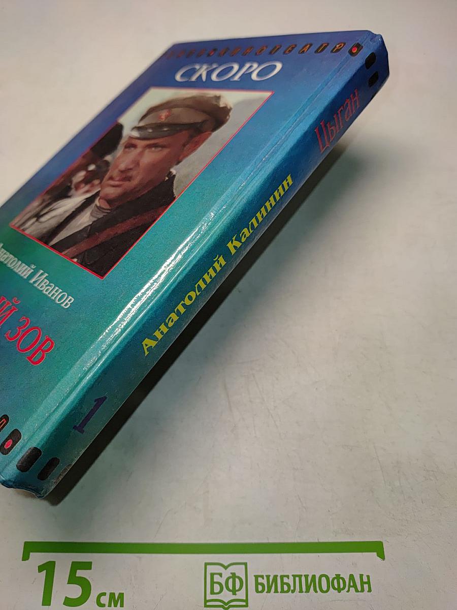 Цыган. Книга первая