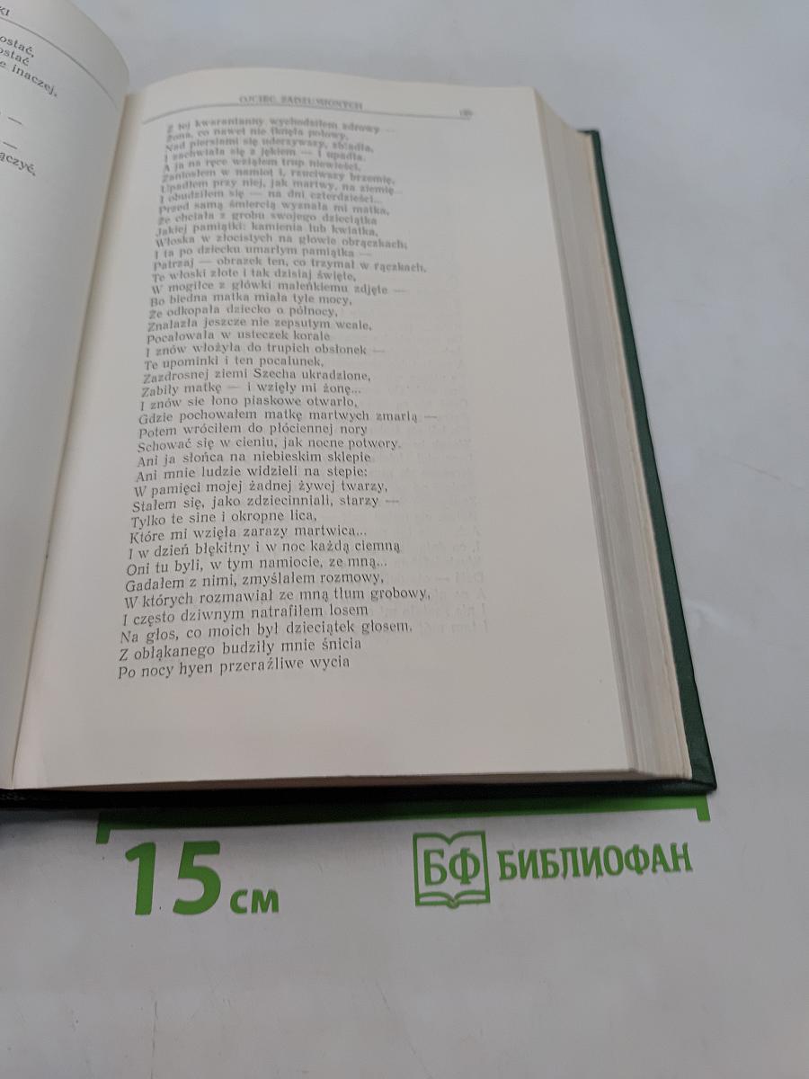 Хрестоматия по польской литературе XIX-XX в.в. Часть первая