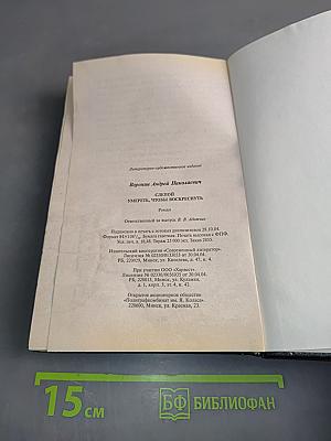 Слепой. Умереть, чтобы воскреснуть