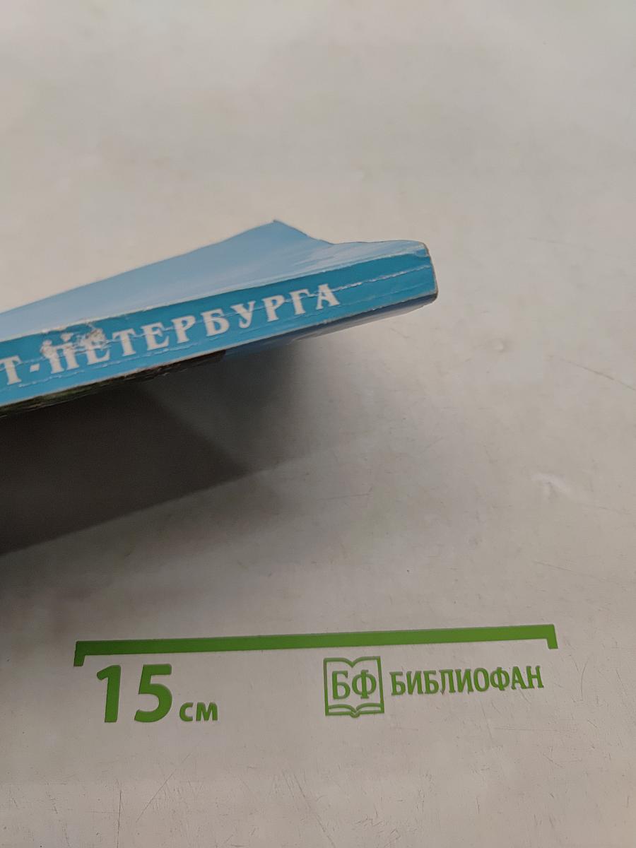 Блаженные Санкт-Петербурга. От святой блаженной Ксении Петербургской до Любушки Сусанинской