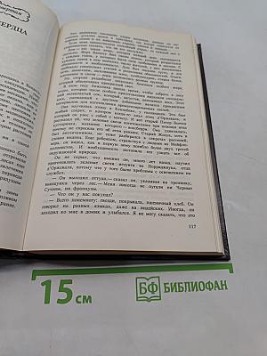 Триумф Анжелики. Книга 11