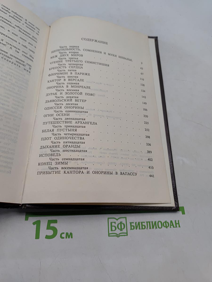 Триумф Анжелики. Книга 11