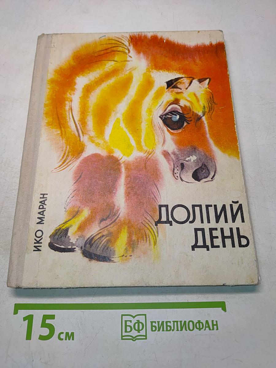 Долгий день