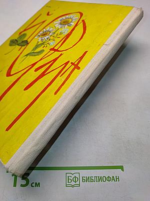 Долгий день
