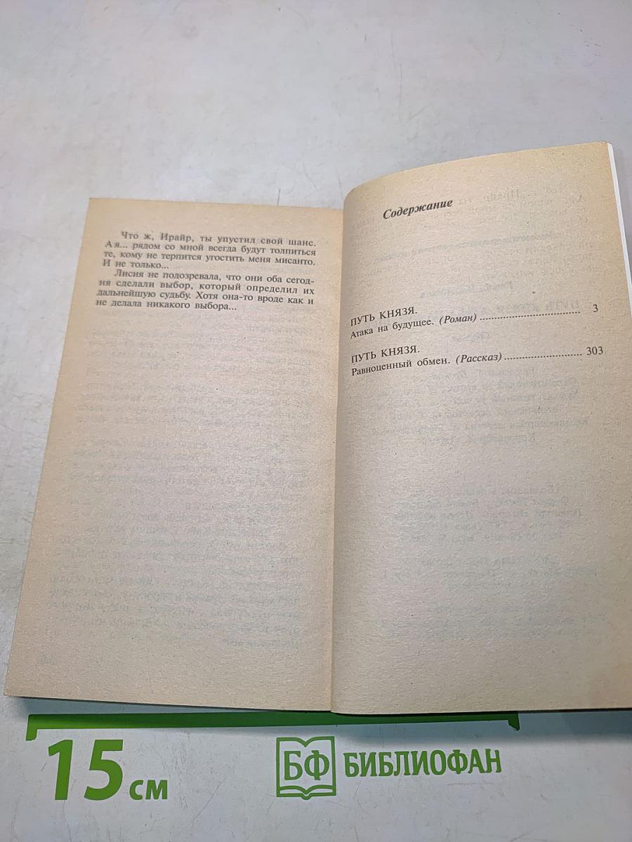 Путь князя. Атака на будущее