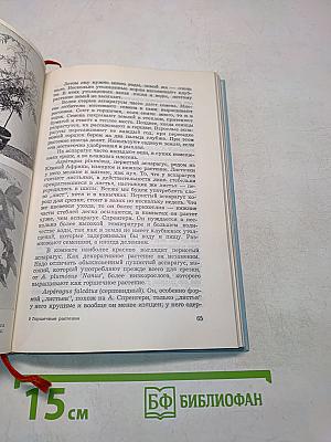 Горшечные растения