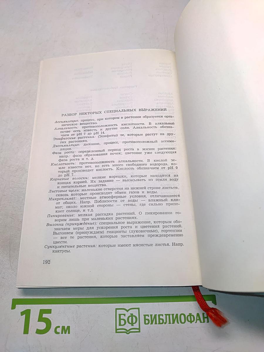 Горшечные растения