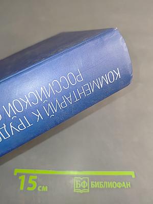 Комментарий к Трудовому кодексу Российской Федерации (постатейный)