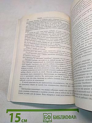 Пудель