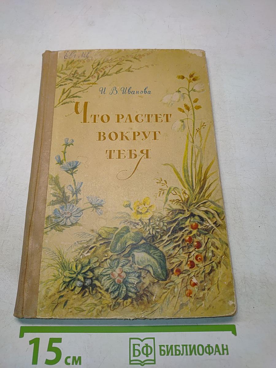 Что растет вокруг тебя. Определитель растений. Пособие для учащихся V-VI классов