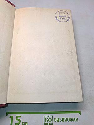 Собрание сочинений. Том четвертый. Одиссея. Художественная проза. Критические статьи. Письма
